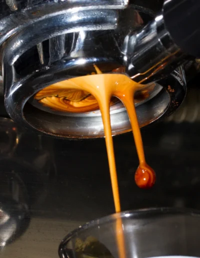 BARISTA PRO (2)-2