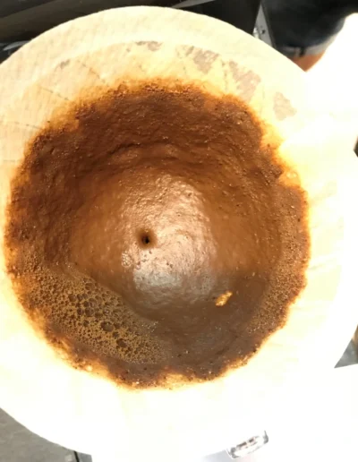 Brewing nivel profesional con diploma (12)