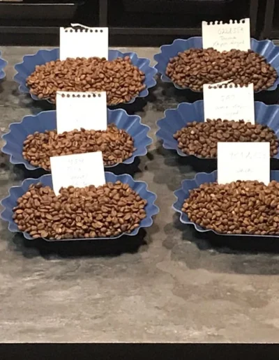 control de calidad roaster (2)